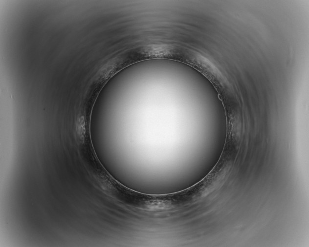 X0000094070549200710191122