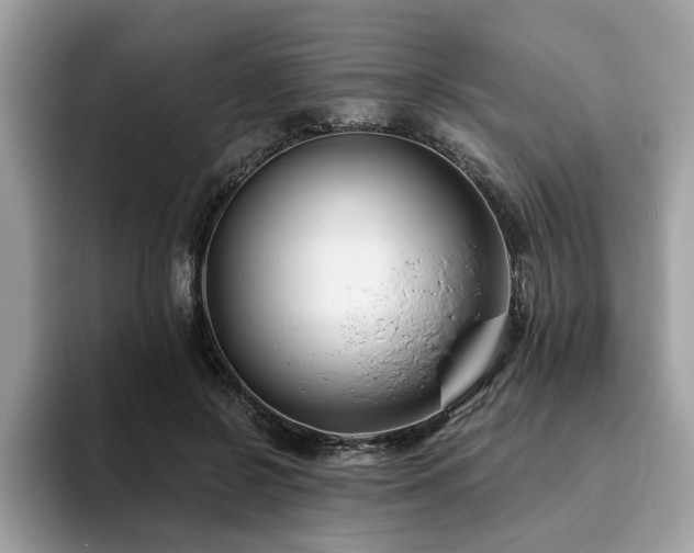 X0000094070550200710191122