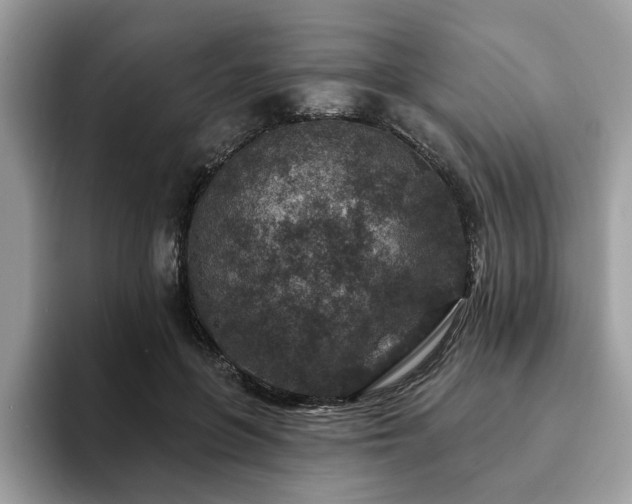 X0000094070551200710191122