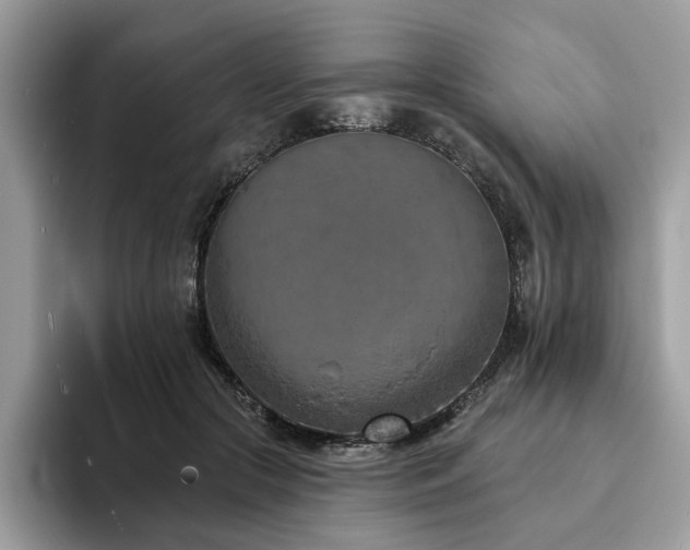 X0000094070553200710191122
