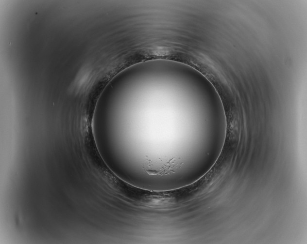 X0000094070555200710191122