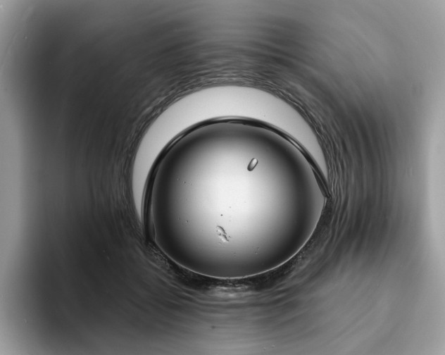 X0000094070556200710191122