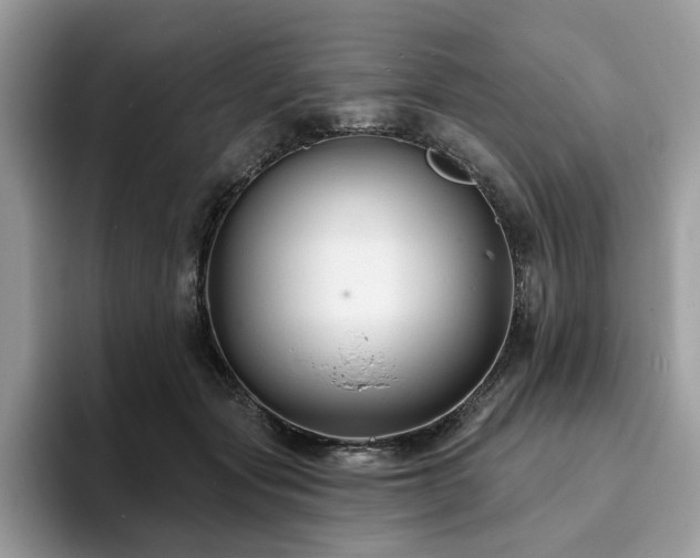 X0000094070557200710191122