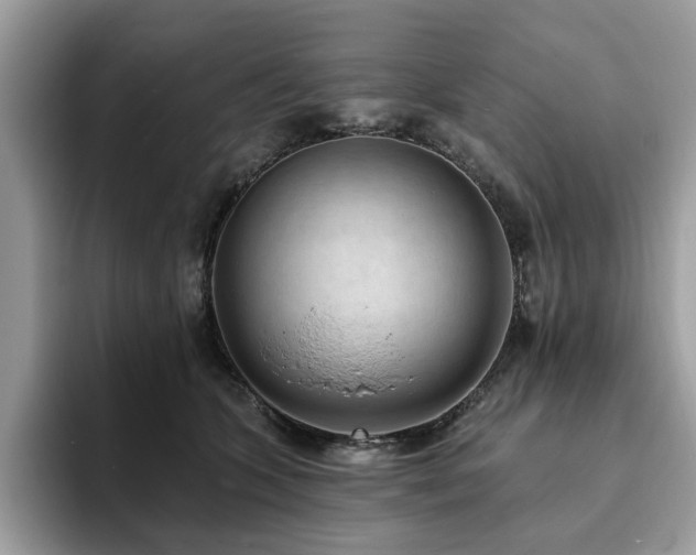 X0000094070563200710191122