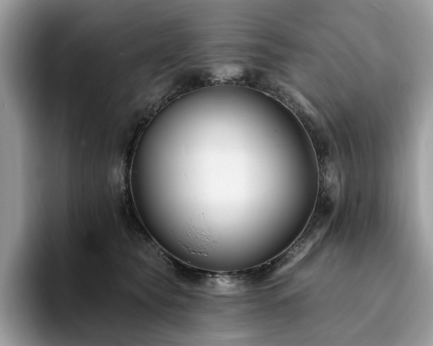 X0000094070565200710191122