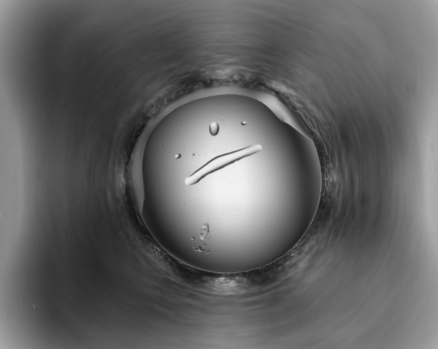 X0000094070566200710191122