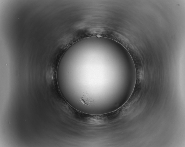 X0000094070567200710191122