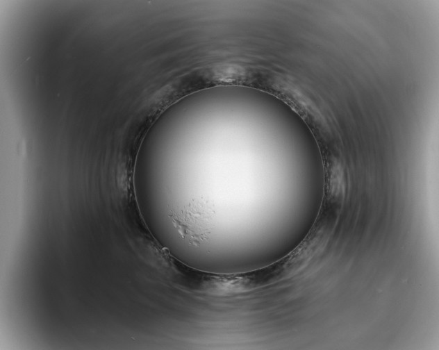X0000094070569200710191122