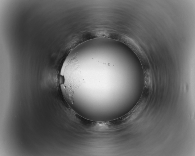 X0000094070573200710191122