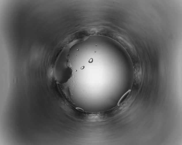 X0000094070574200710191122