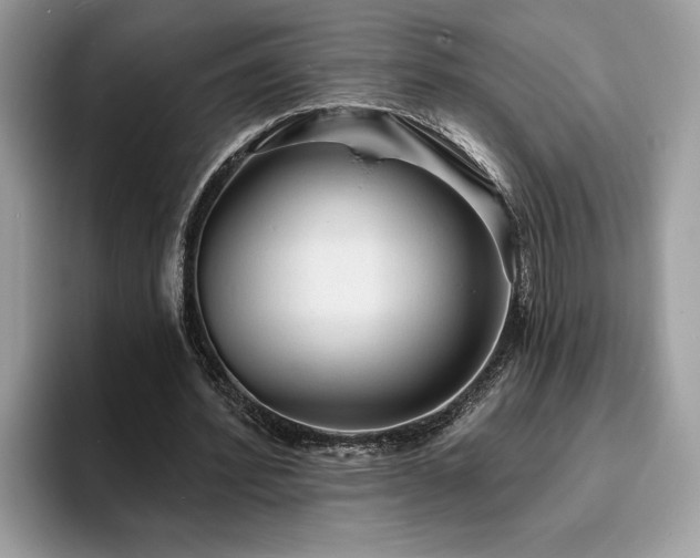 X0000094070580200710191121