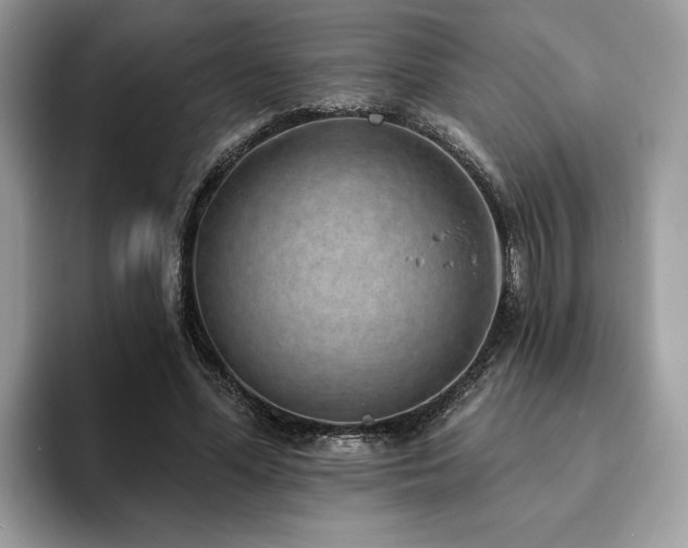 X0000094070588200710191121