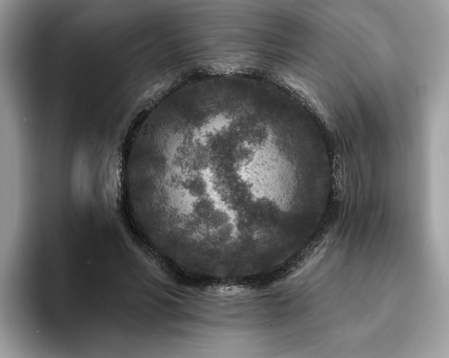 X0000094070590200710191121