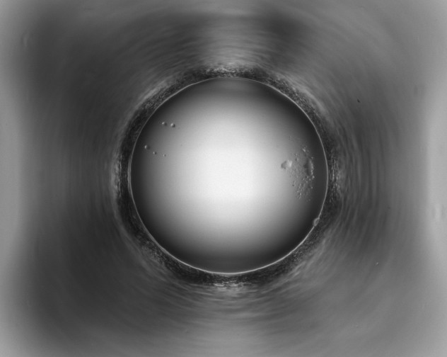 X0000094070591200710191121