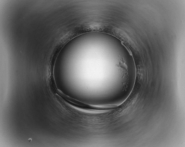 X0000094070593200710191121