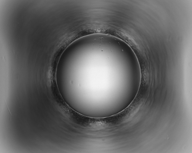X0000094070594200710191121