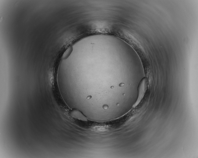 X0000094070595200710191121