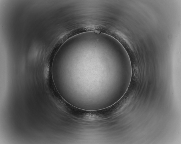 X0000094070596200710191121