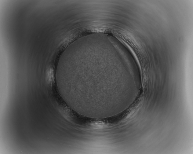 X0000094070598200710191121