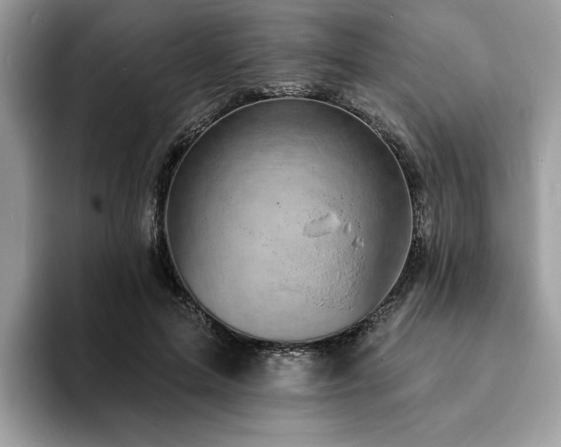 X0000094070599200710191121