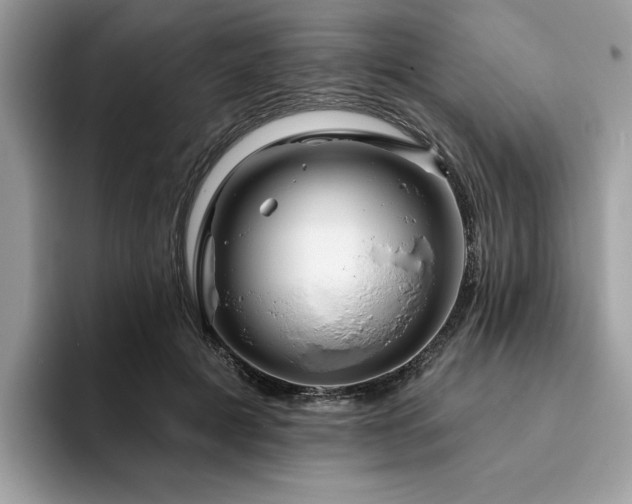 X0000094070601200710191121