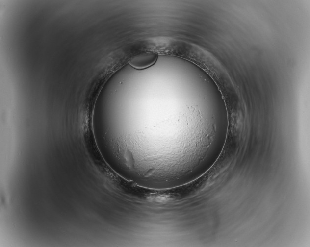 X0000094070602200710191121