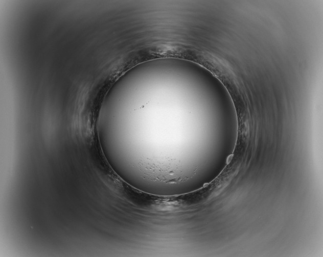 X0000094070607200710191121