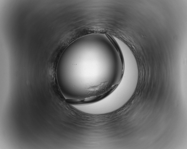 X0000094070609200710191121