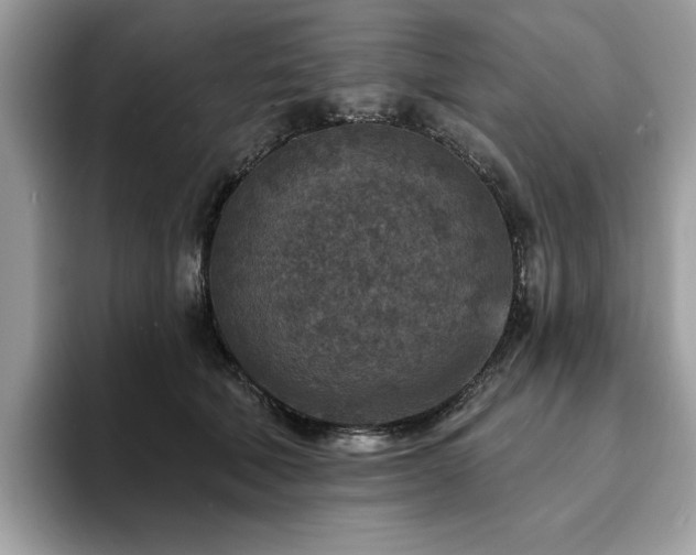 X0000094070610200710191121