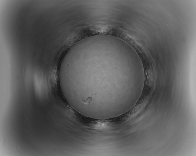 X0000094070612200710191121