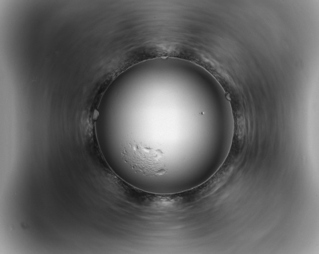 X0000094070613200710191121
