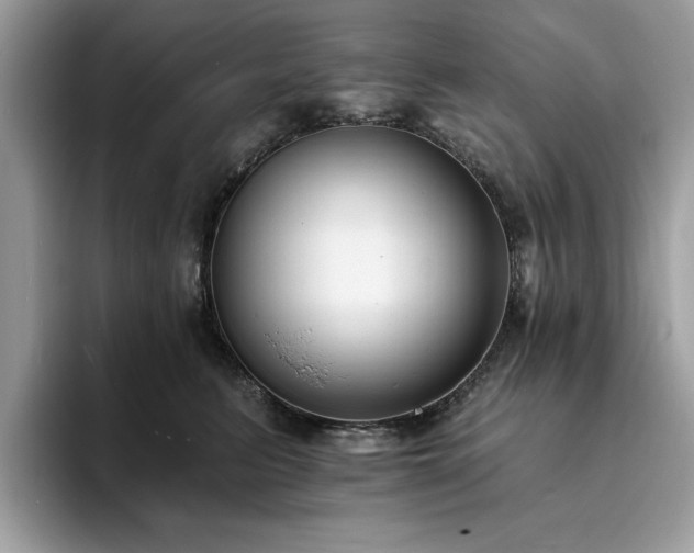 X0000094070615200710191121