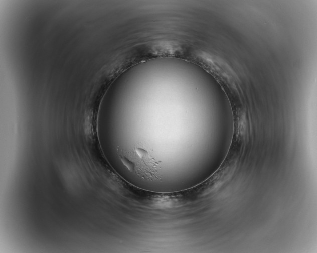 X0000094070616200710191121