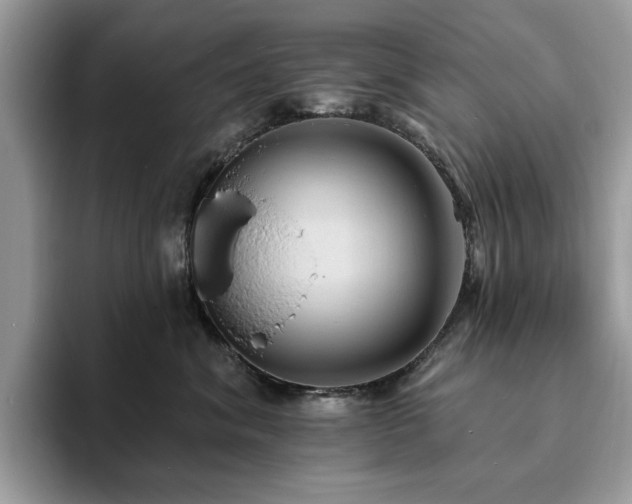 X0000094070620200710191121