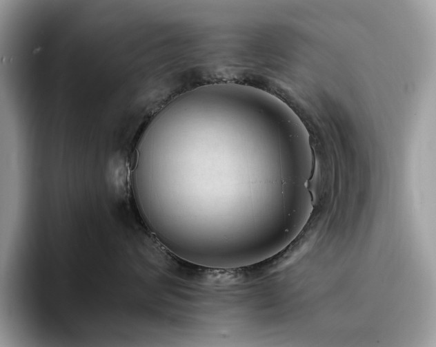 X0000094070624200710191121