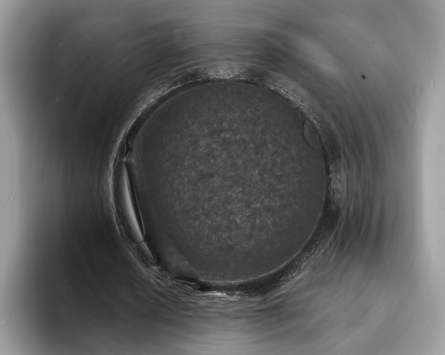 X0000094070626200710191120
