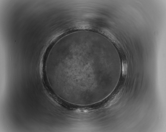 X0000094070627200710191120
