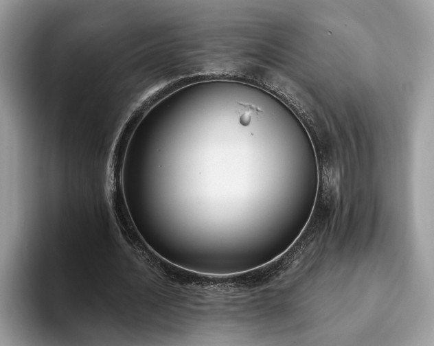 X0000094070628200710191120