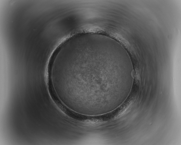 X0000094070630200710191120