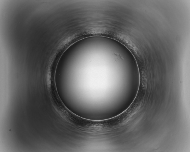 X0000094070631200710191120