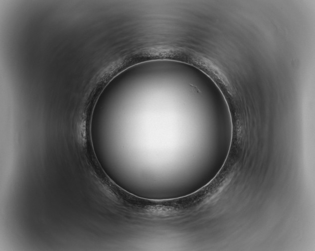 X0000094070633200710191120