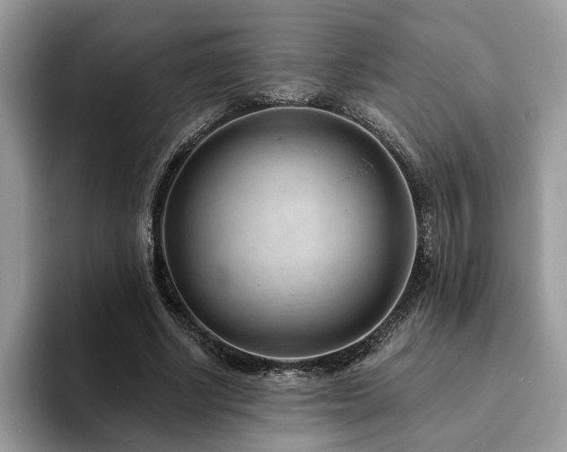 X0000094070634200710191120