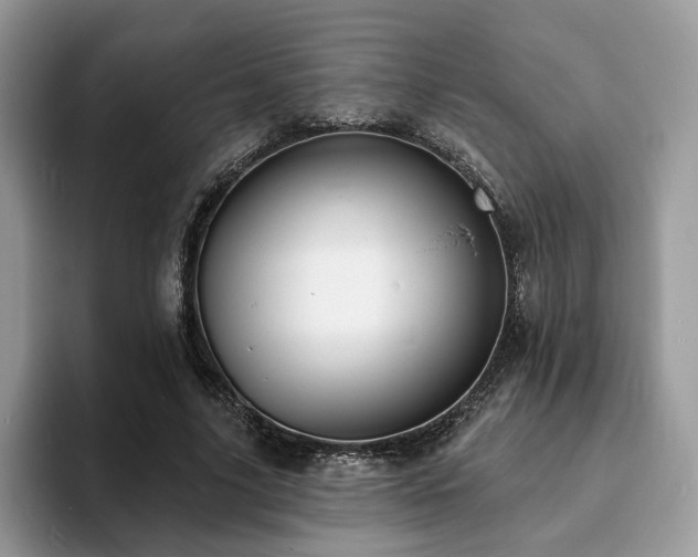 X0000094070635200710191120