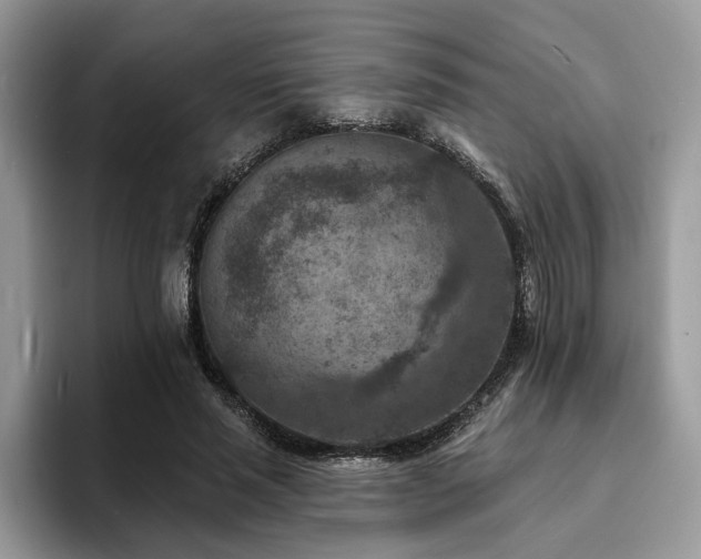 X0000094070637200710191120
