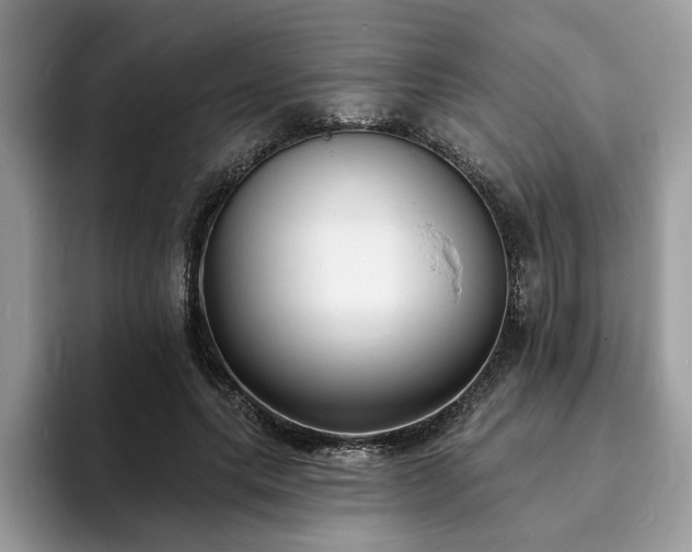 X0000094070639200710191120