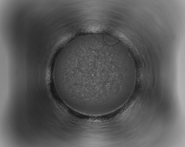 X0000094070640200710191120