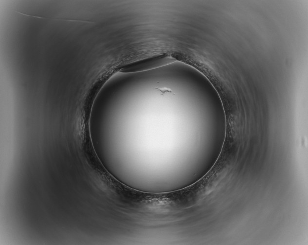 X0000094070642200710191120