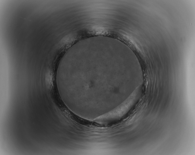 X0000094070643200710191120