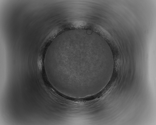 X0000094070644200710191120