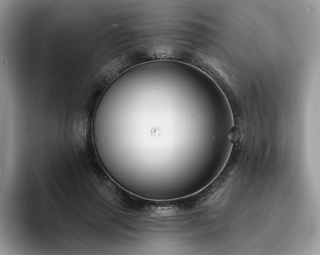 X0000094070645200710191120